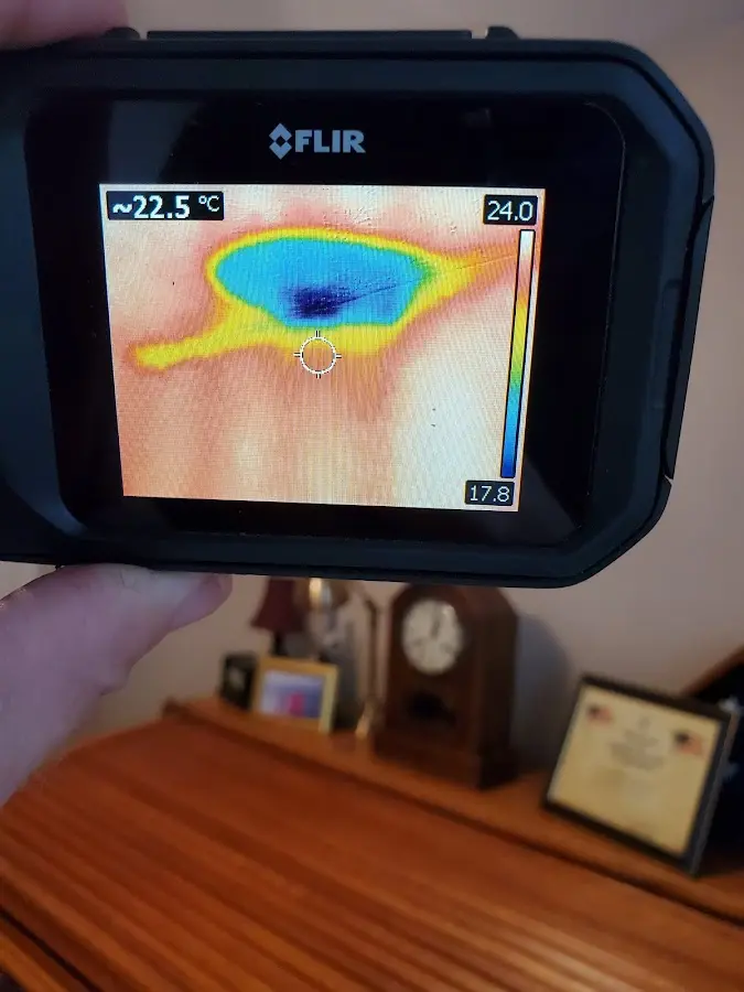 Thermal imaging inspection for water damage in Johnson City